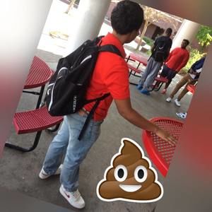 Meet your Posher, Sebastian